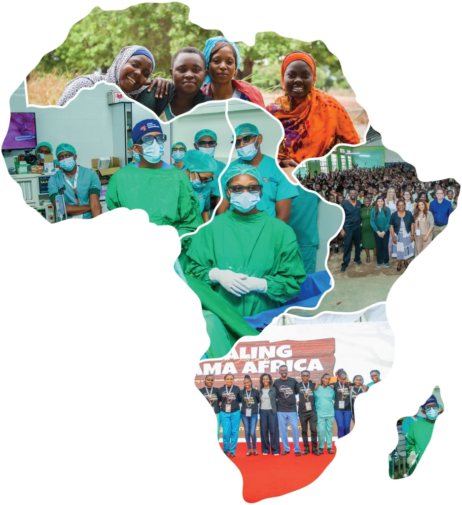 African Centre for Endometriosis - Hero section